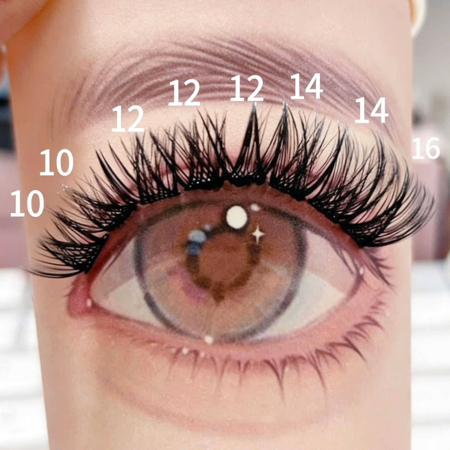 DF01 cluster DIY lashes Kit - 144 clusters