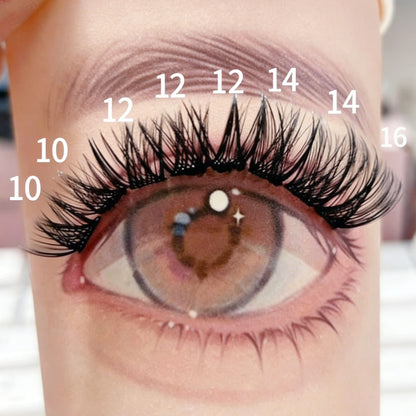 DF01 cluster DIY lashes Kit - 144 clusters