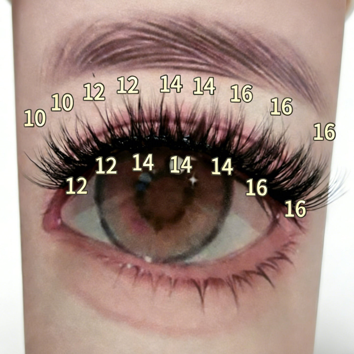 DF02 cluster DIY lashes Kit - 144 clusters
