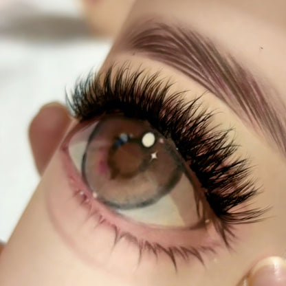 DF02 cluster DIY lashes Kit - 144 clusters