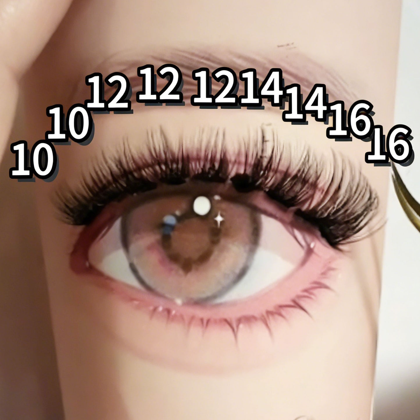DF04 cluster DIY lashes Kit - 144 clusters