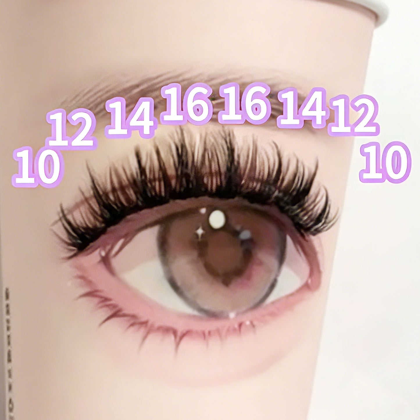 DF05 cluster DIY lashes Kit - 144 clusters