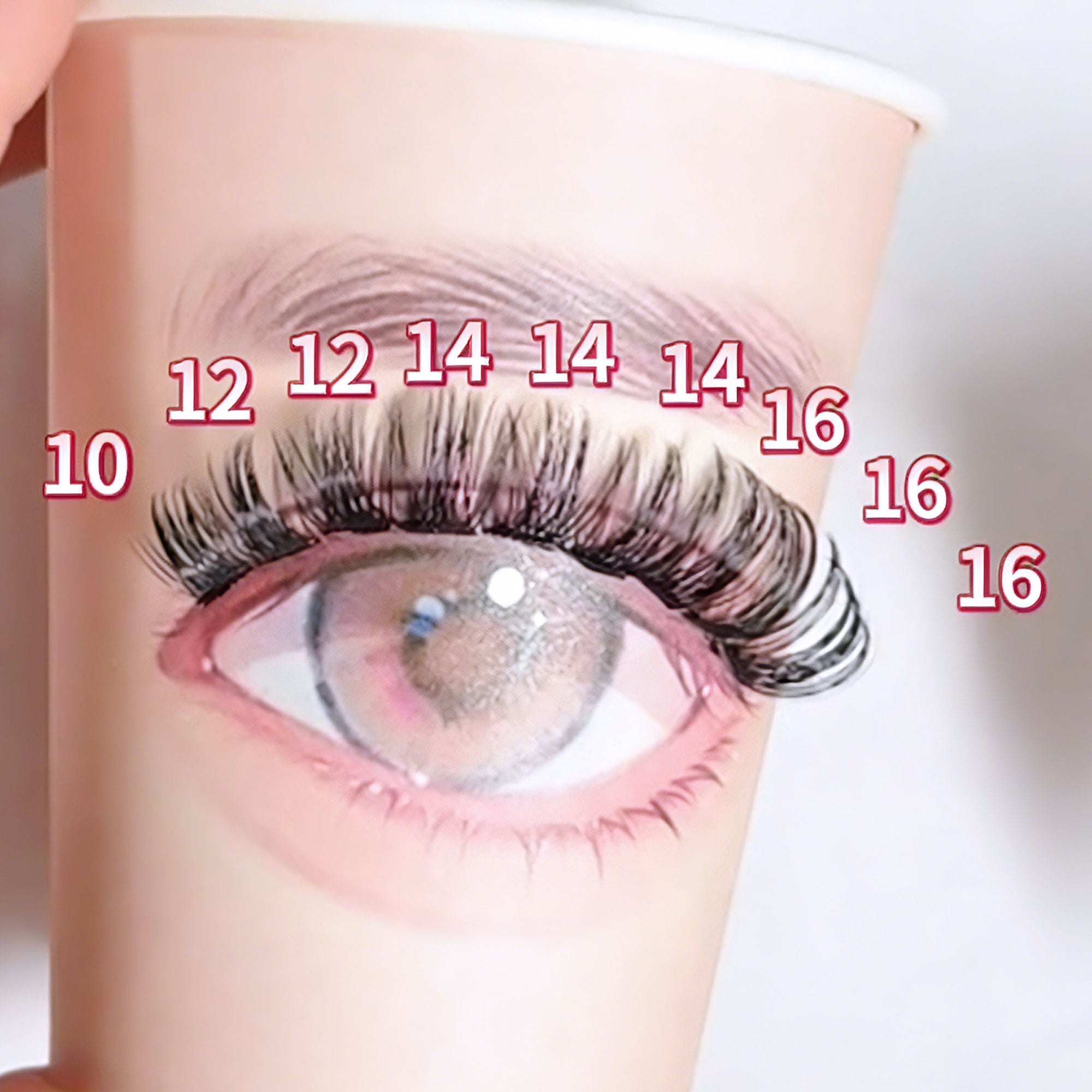 DF06 cluster DIY lashes Kit - 144 clusters