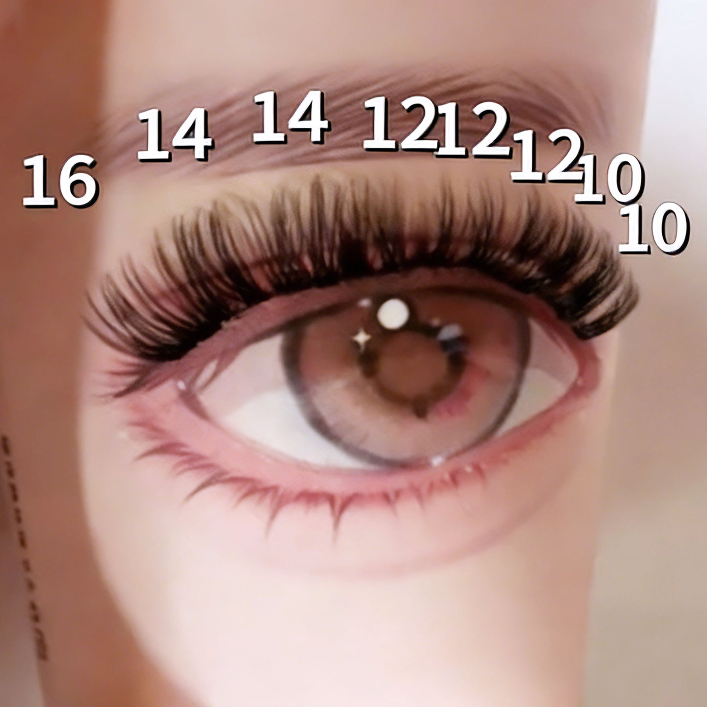 DF08 cluster DIY lashes Kit - 144 clusters