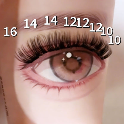 DF08 cluster DIY lashes Kit - 144 clusters