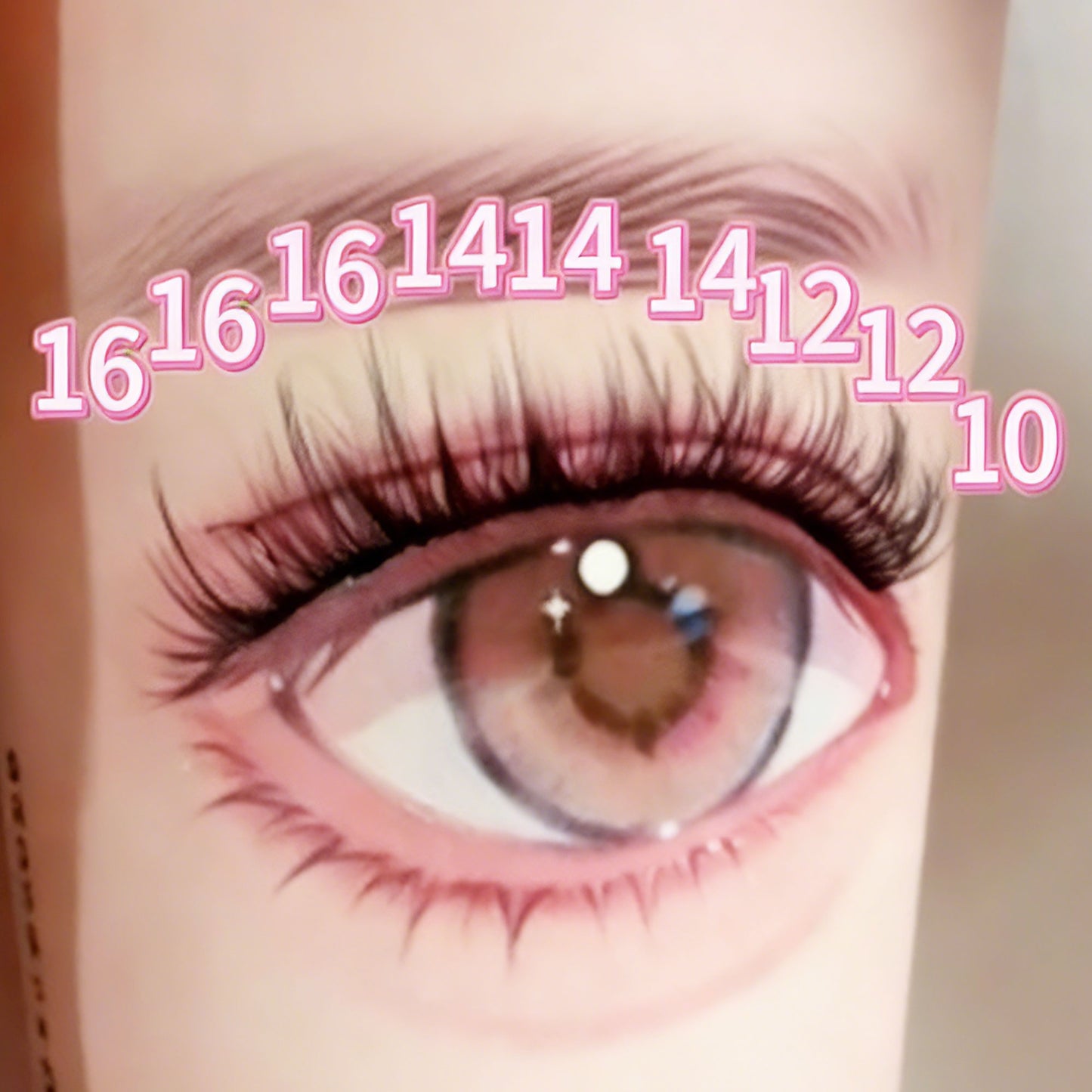 DF09 cluster DIY lashes - 144 clusters