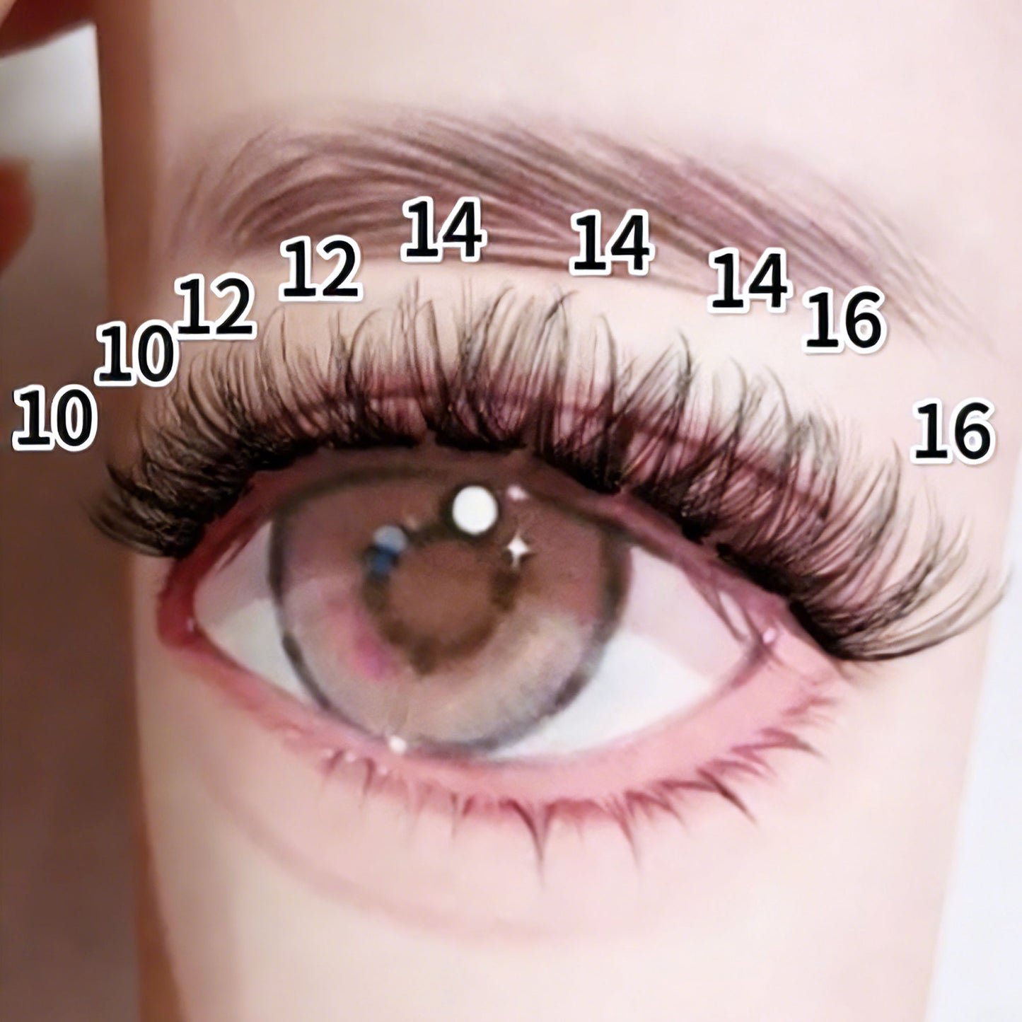 DF11 cluster DIY lashes - 144 clusters