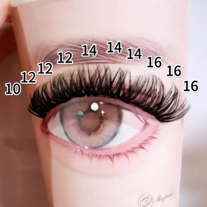 DF14 cluster DIY lashes - 144 clusters