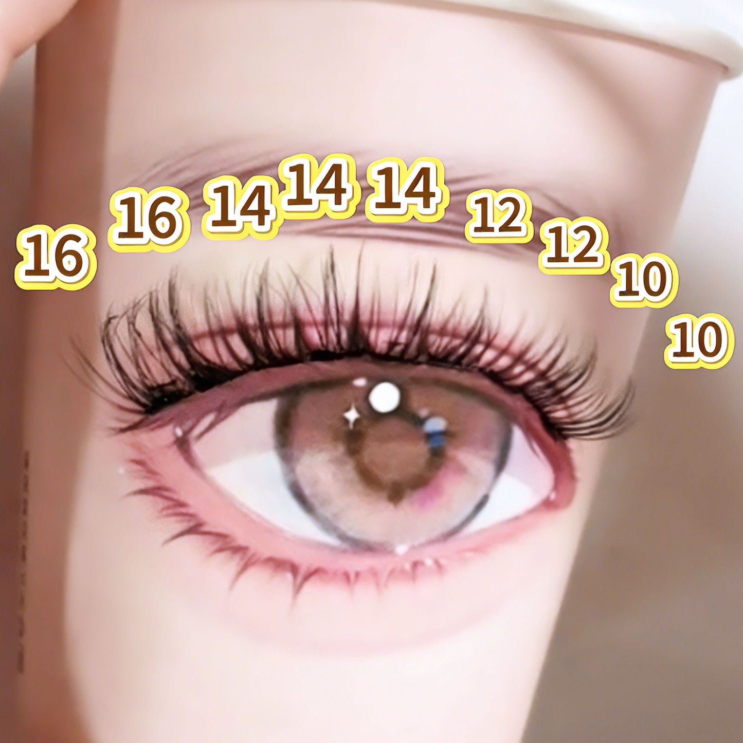 DF15 cluster DIY lashes - 144 clusters