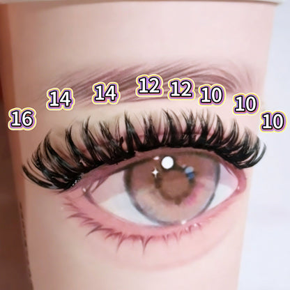 DF16 cluster DIY lashes Kit - 108clusters