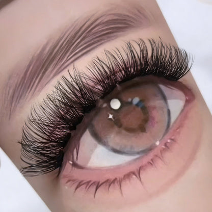 DF18 cluster DIY lashes Kit - 144 clusters