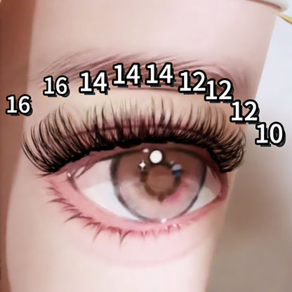 DF19 cluster DIY lashes - 144 clusters