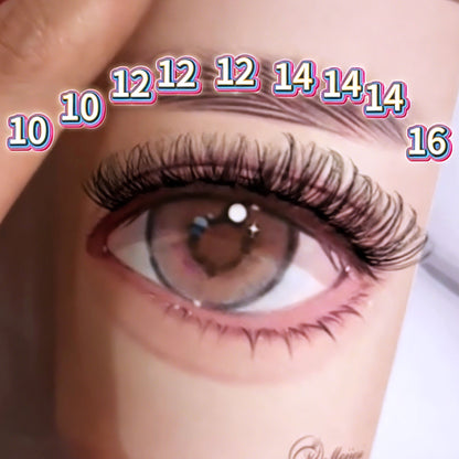 DF22 cluster DIY lashes - 144 clusters