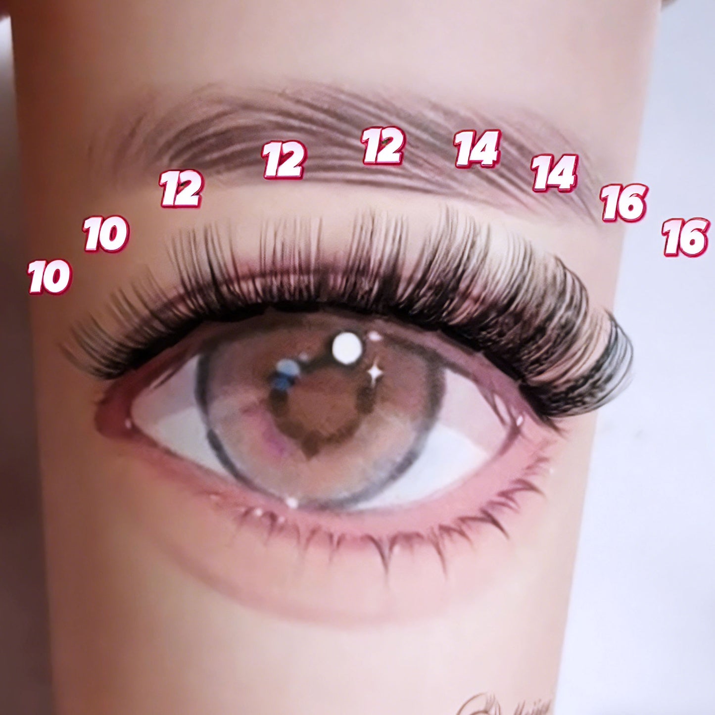 DF23 cluster DIY lashes Kit - 144 clusters