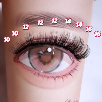 DF23 cluster DIY lashes Kit - 144 clusters