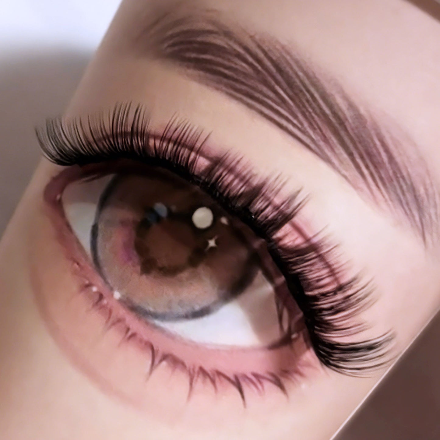 DF23 cluster DIY lashes Kit - 144 clusters