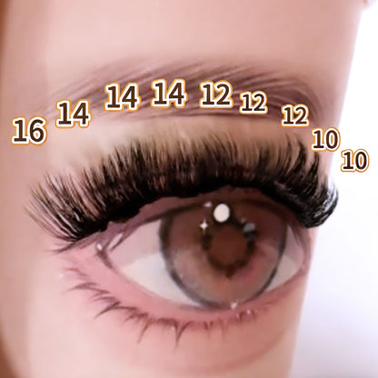 DF24 cluster DIY lashes - 144 clusters