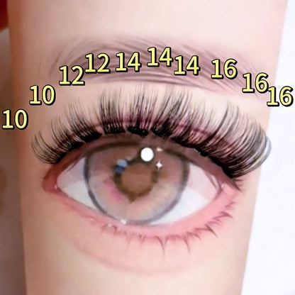 DF25 cluster DIY lashes - 144 clusters