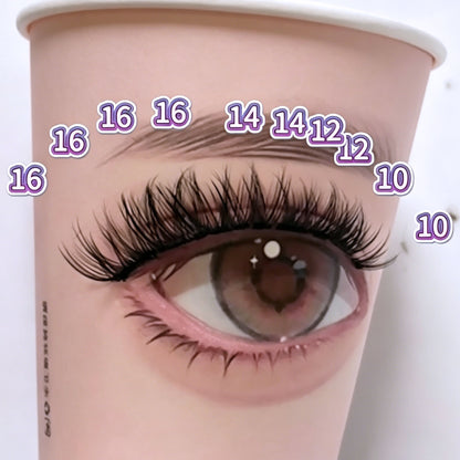 DF26 cluster DIY lashes Kit - 144 clusters