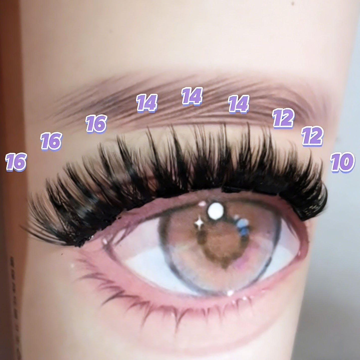 DF27 cluster DIY lashes - 144 clusters