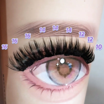 DF27 cluster DIY lashes - 144 clusters