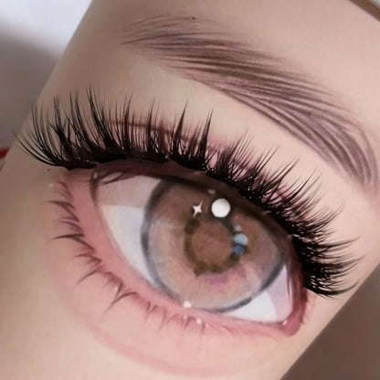 DF27 cluster DIY lashes - 144 clusters