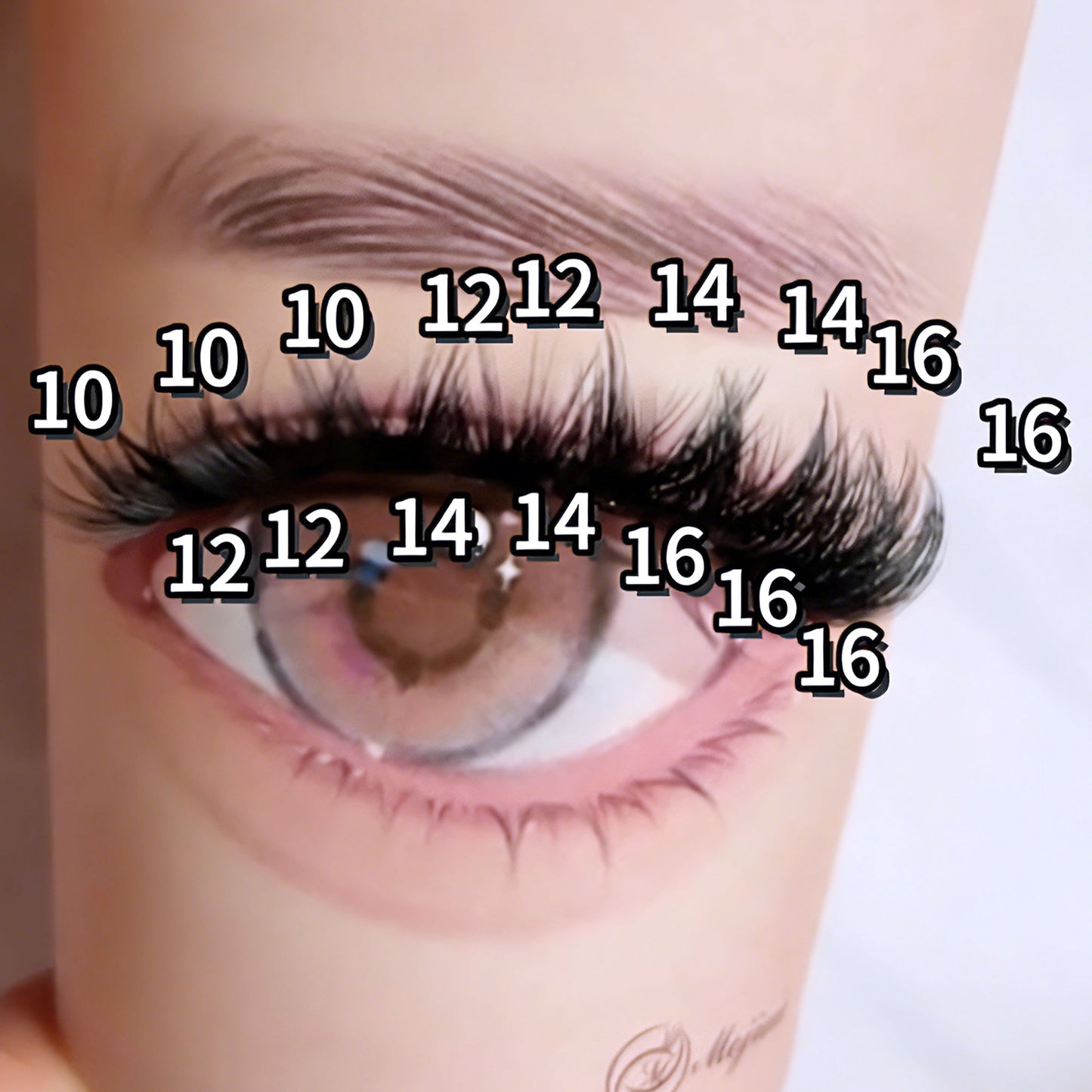DF28 cluster DIY lashes - 144 clusters