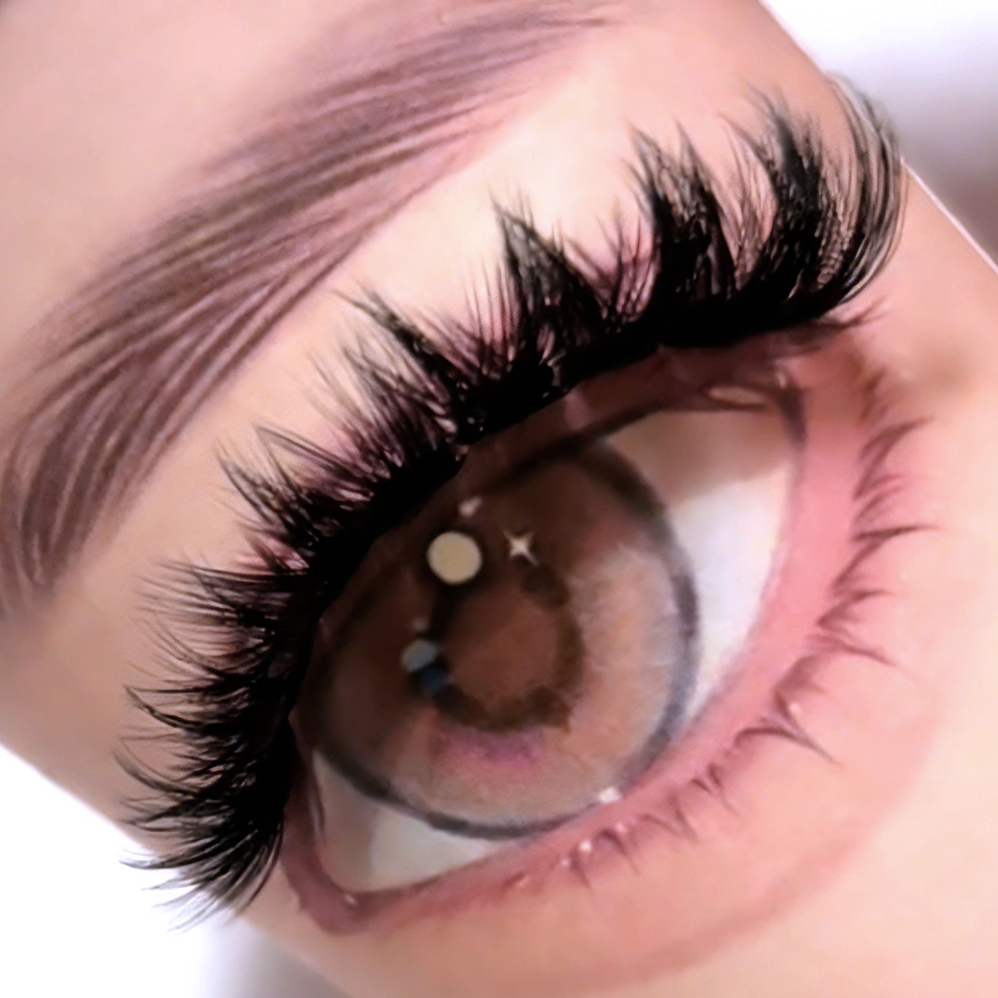 DF28 cluster DIY lashes - 144 clusters