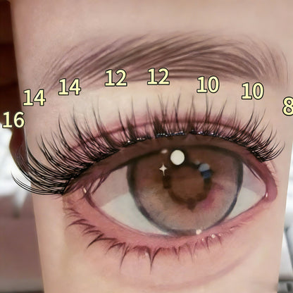 SH06 cluster DIY lashes - 168 clusters