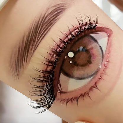 SH06 cluster DIY lashes - 168 clusters