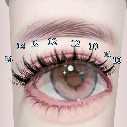 SH10 cluster DIY lashes - 120 clusters